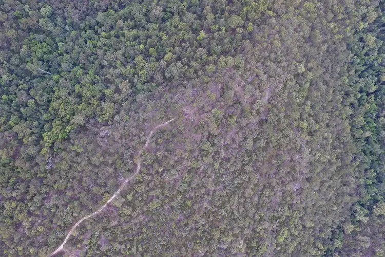 Seventh view of Homely land listing, 314 Floyds Road, South Maroota NSW 2756