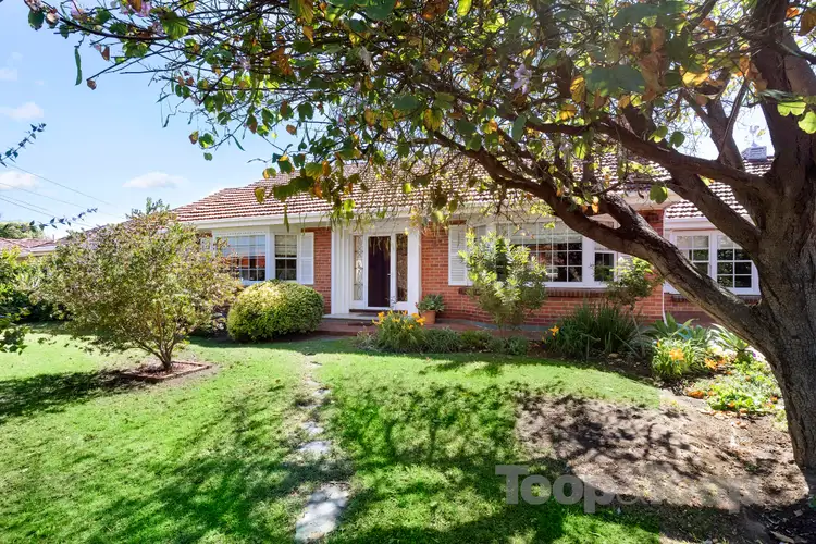 3 Raffles Crescent, Plympton SA 5038
