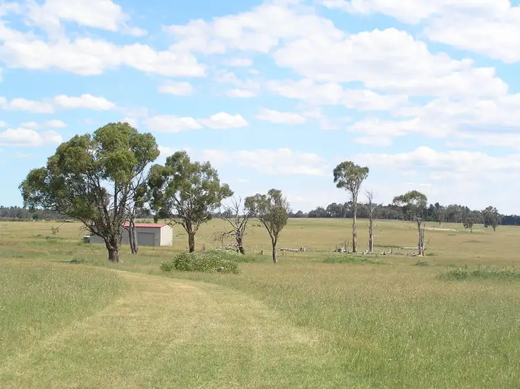 Fifth view of Homely rural property listing, 231 Excelsior Road, Mudgee NSW 2850