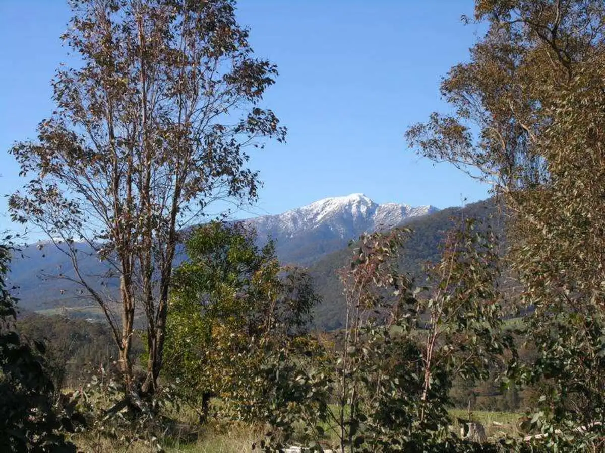 Main view of Homely rural property listing, McCormacks Road, Merrijig VIC 3723