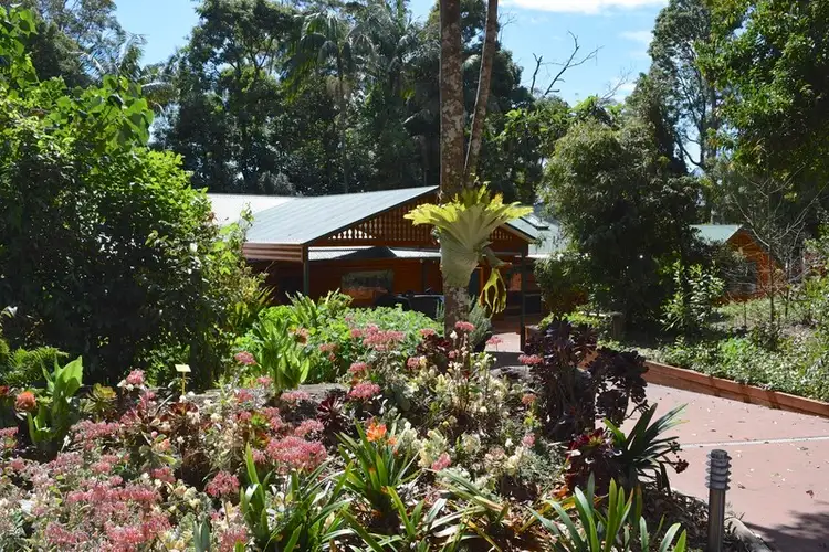 Seventh view of Homely house listing, 99-103 BEACON Road, Tamborine Mountain QLD 4272