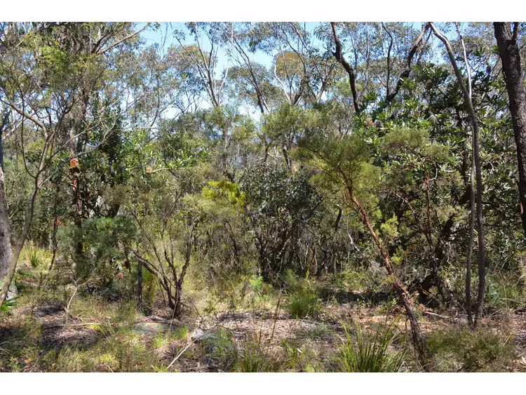 Third view of Homely land listing, 31 Foy Avenue, Medlow Bath NSW 2780