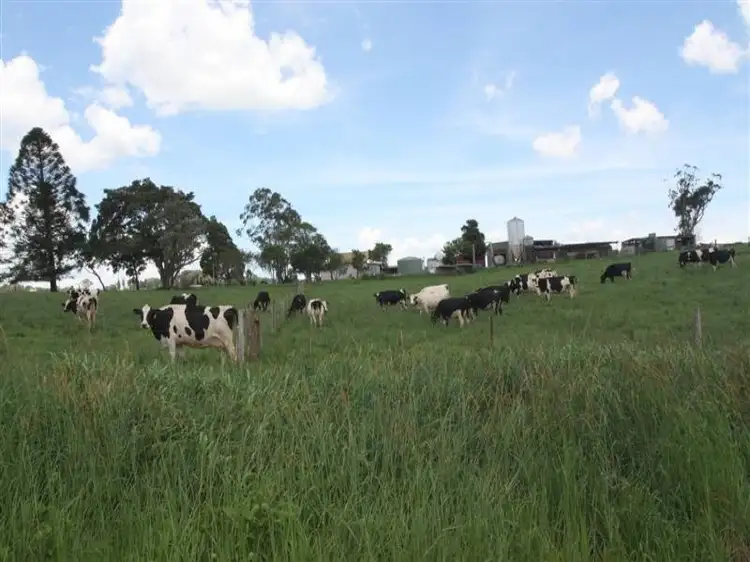 Fourth view of Homely rural property listing, F131 2381 Old Palmerston Highway, Ravenshoe QLD 4888