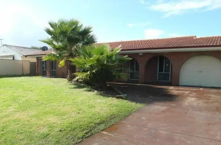 19 Nardoo Way, Maddington WA 6109