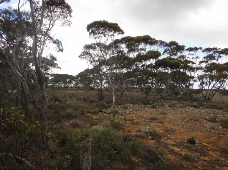 Second view of Homely rural property listing, Section 178 Halfway House Road, Sedan SA 5353