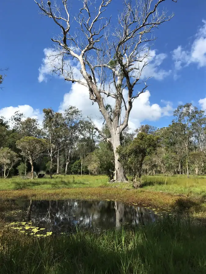 Third view of Homely rural property listing, LOT 37, 111 & 135 Somervale Road, Tucabia NSW 2462