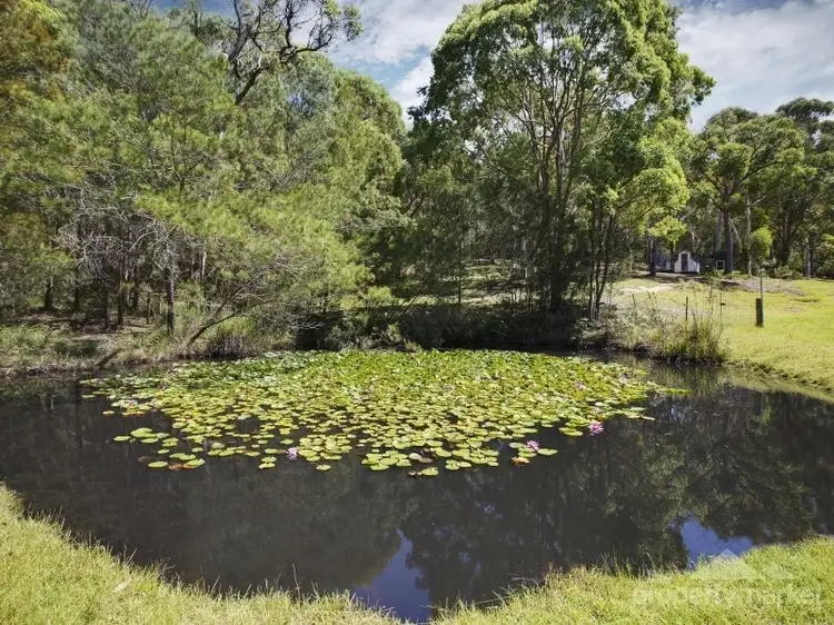 Seventh view of Homely rural property listing, 12 Larapinta Drive, Wyee Point NSW 2259