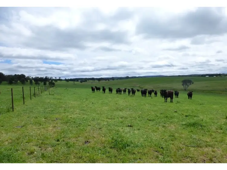 Second view of Homely rural property listing, 277 Fanning Road, Mullion Creek NSW 2800