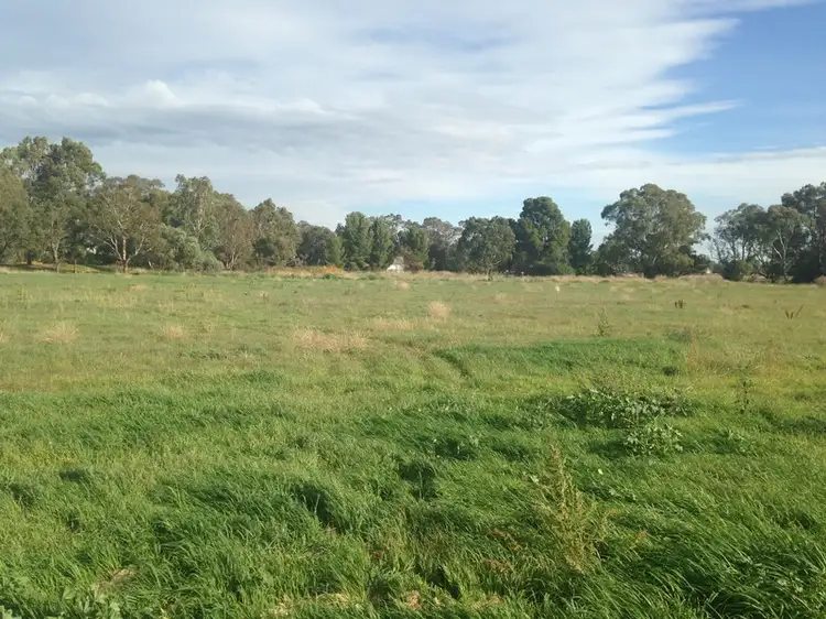 Fifth view of Homely land listing, 11 Robin Avenue, Nuriootpa SA 5355