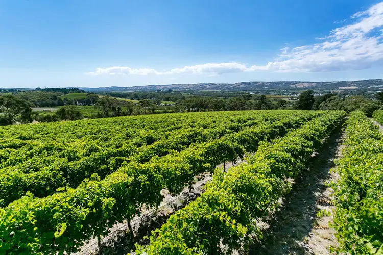 Second view of Homely rural property listing, 7 Settlement Road, Mclaren Flat SA 5171