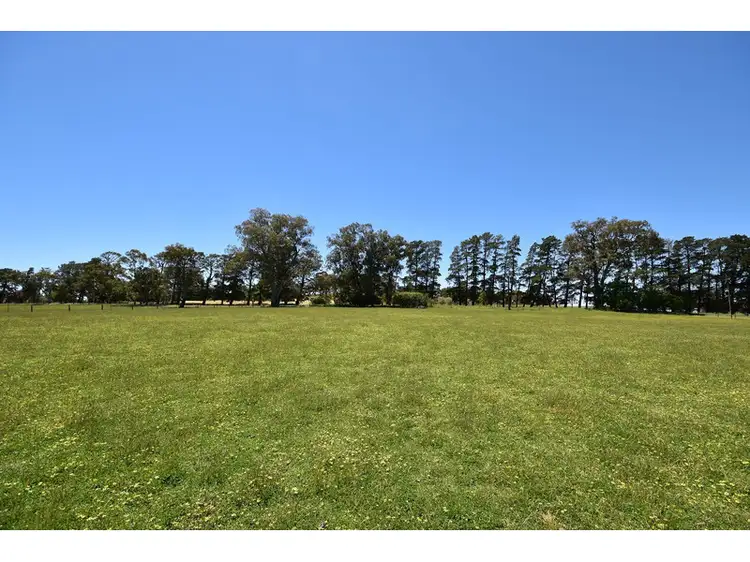 Seventh view of Homely rural property listing, Lot 141 Watts Gully Road, Forreston SA 5233