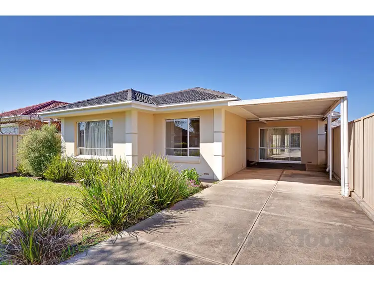 Main view of Homely house listing, 31 McShane Street, Campbelltown SA 5074