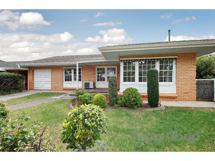 Main view of Homely unit listing, 3/18 Jellicoe Street, Linden Park SA 5065