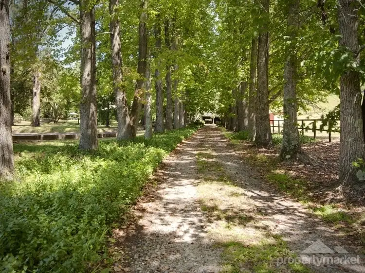 Fourth view of Homely rural property listing, 155 Peach Orchard Road, Fountaindale NSW 2258