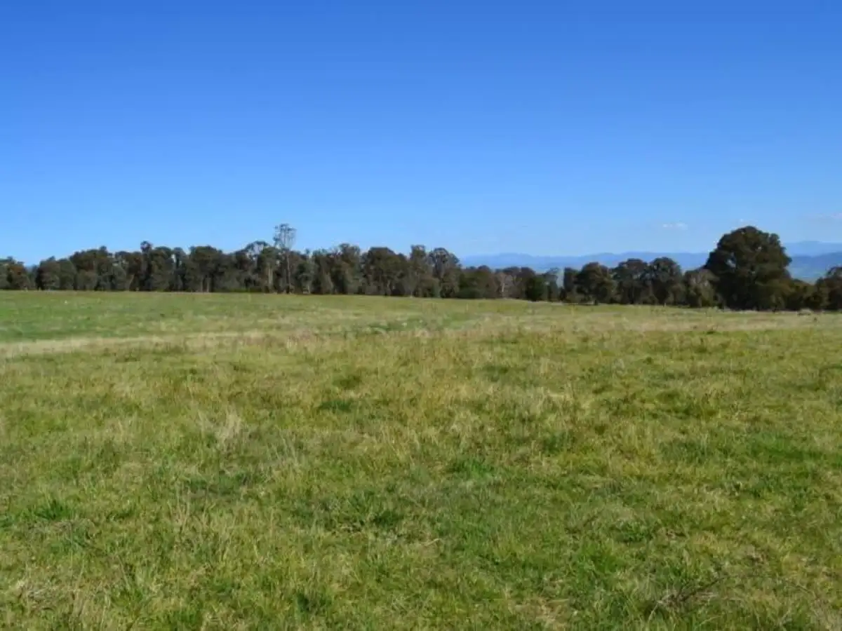 Main view of Homely rural property listing, LOT 13, 146 Ambrose Drive, Mansfield VIC 3722
