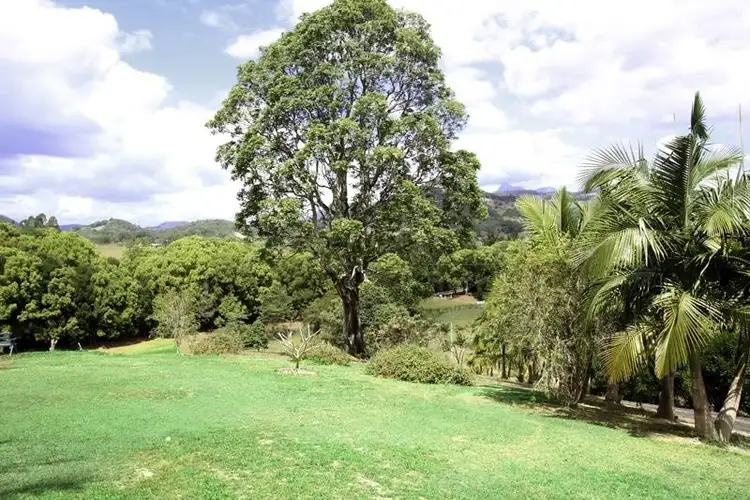 Second view of Homely rural property listing, 220 Nobbys Creek Road, Nobbys Creek NSW 2484