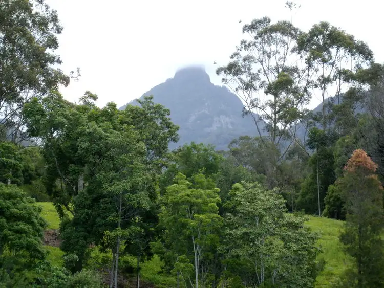 Fourth view of Homely rural property listing, 135 Mt Warning Road, Mount Warning NSW 2484
