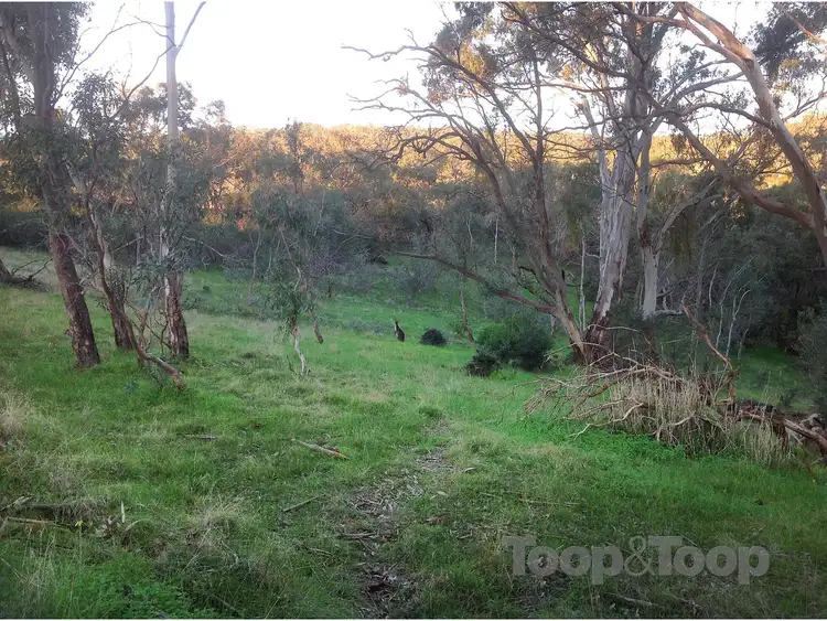 Fourth view of Homely land listing, Section 5668 Norman Road, Yatala Vale SA 5126