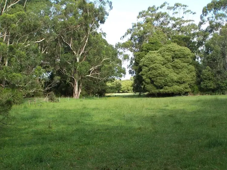 Second view of Homely rural property listing, 115 Lyness Road, Carlisle River VIC 3239