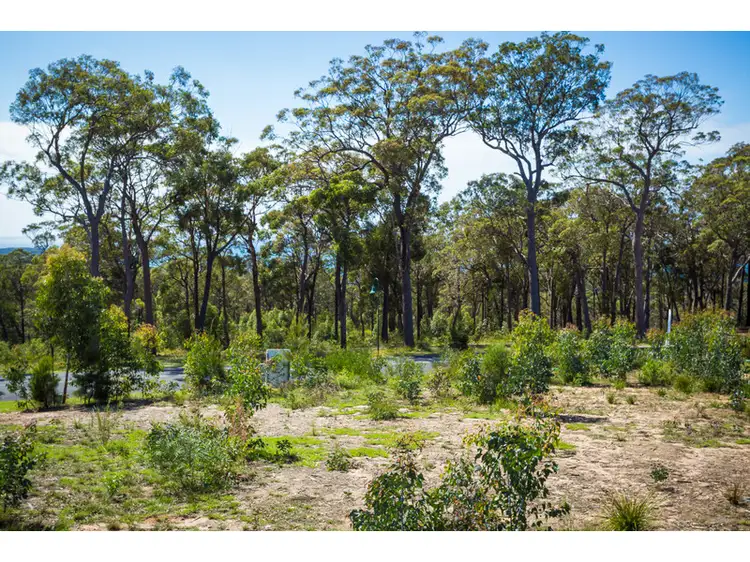 Main view of Homely land listing, 187 Mirador Drive, Merimbula NSW 2548