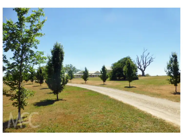Third view of Homely rural property listing, "Figtrees" 1479 Icely Road, Orange NSW 2800