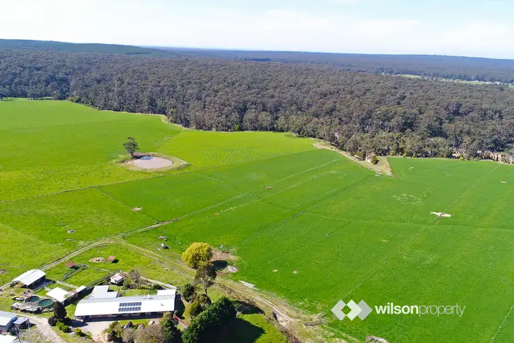 Third view of Homely rural property listing, 4493 Hyland Highway, Won Wron VIC 3971