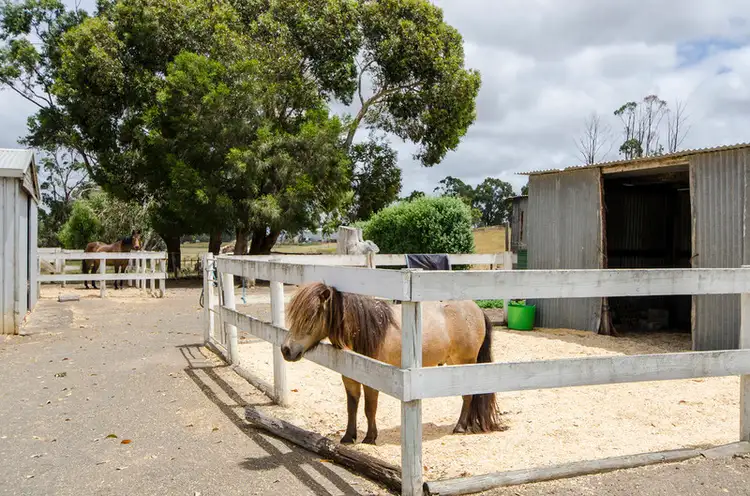 Fifth view of Homely rural property listing, 39 Woolshed Road, Glencoe SA 5291