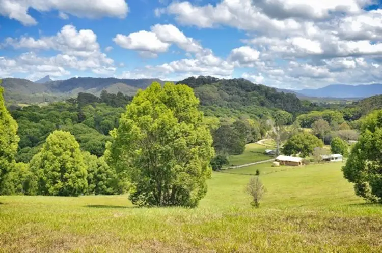 2 Ringtail  Road, Stokers Siding NSW 2484