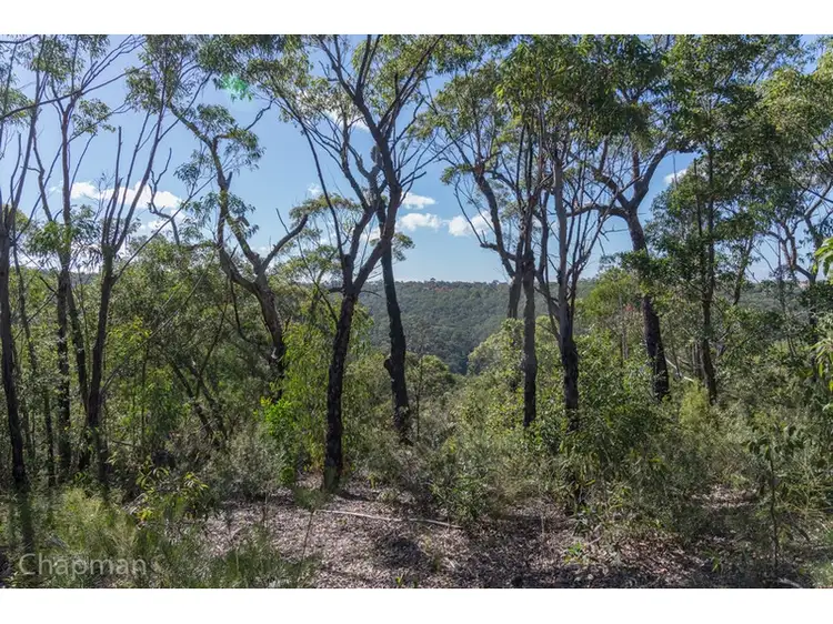 Main view of Homely land listing, Lot 11 Badham Street, Faulconbridge NSW 2776