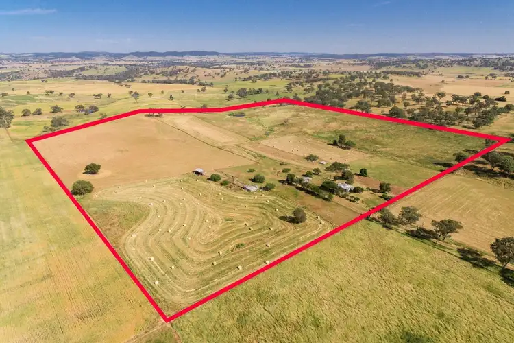 61 Attenborough Lane, Manildra NSW 2865