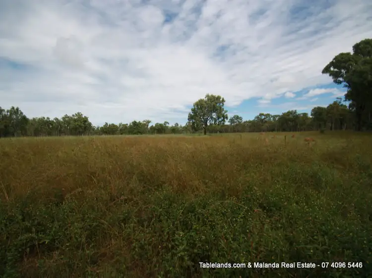 Third view of Homely rural property listing, S1023 708 Braund Road, Mutchilba QLD 4872