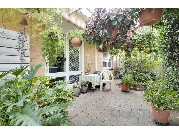 Second view of Homely unit listing, 1/37 Garfield Avenue, Kurralta Park SA 5037