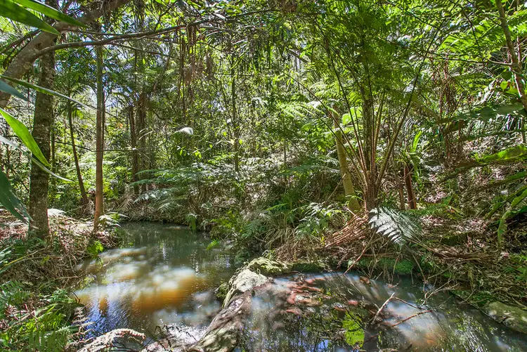 Third view of Homely house listing, 87-89 Timbarra Drive, Beechmont QLD 4211