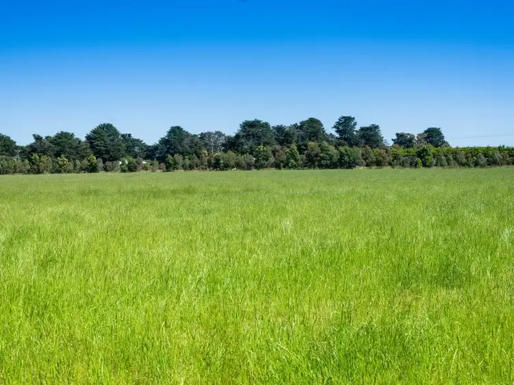 Sixth view of Homely rural property listing, 3615 Cape Otway Road, Birregurra VIC 3242