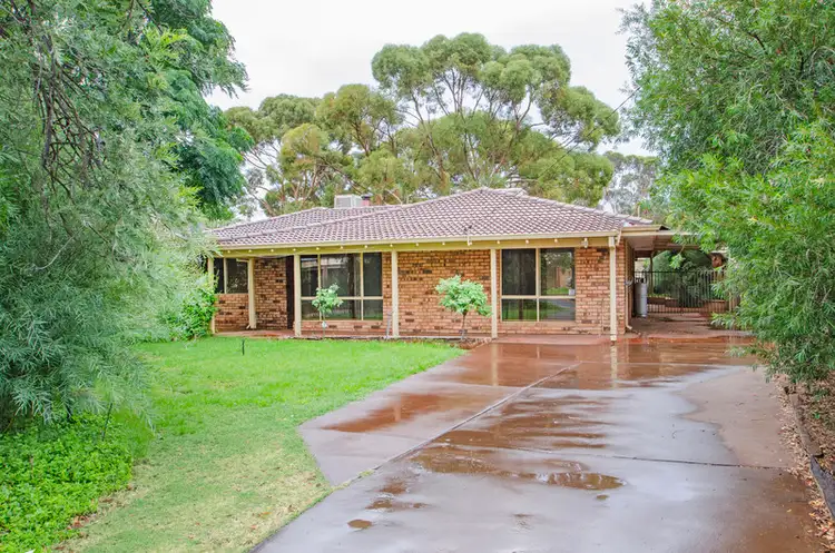6 Robertson Street, West Lamington WA 6430