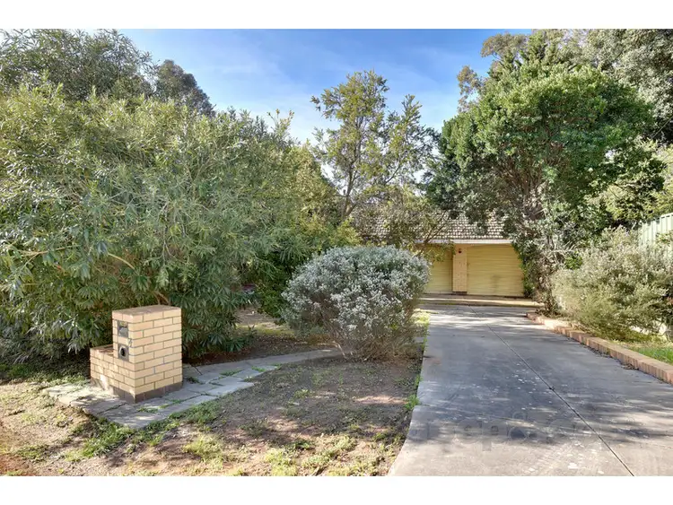 Second view of Homely house listing, 4 Elvira Grove, Wattle Park SA 5066