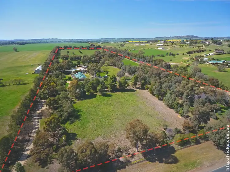 Main view of Homely rural property listing, 459 Mitchell Road, Lake Albert NSW 2650