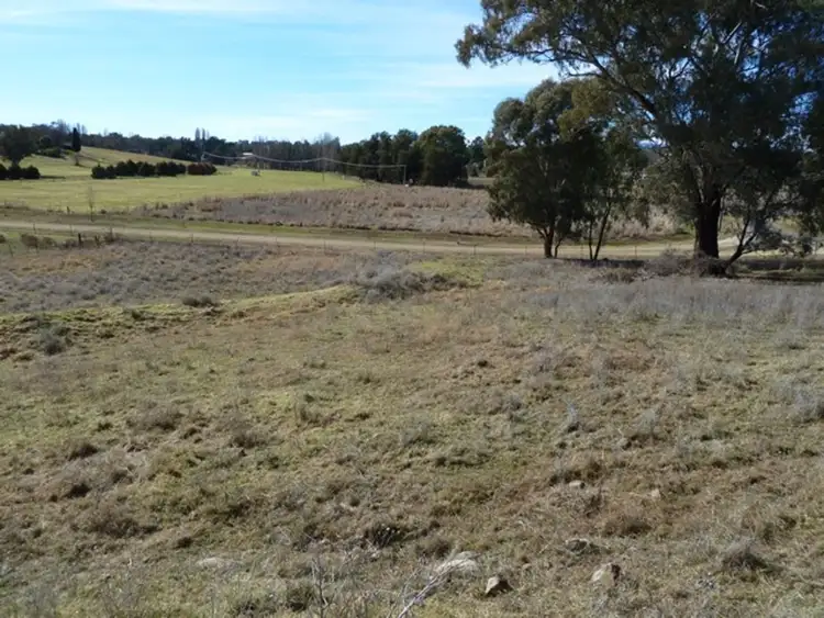 Seventh view of Homely house listing, 21 Merga Street, Cudal NSW 2864