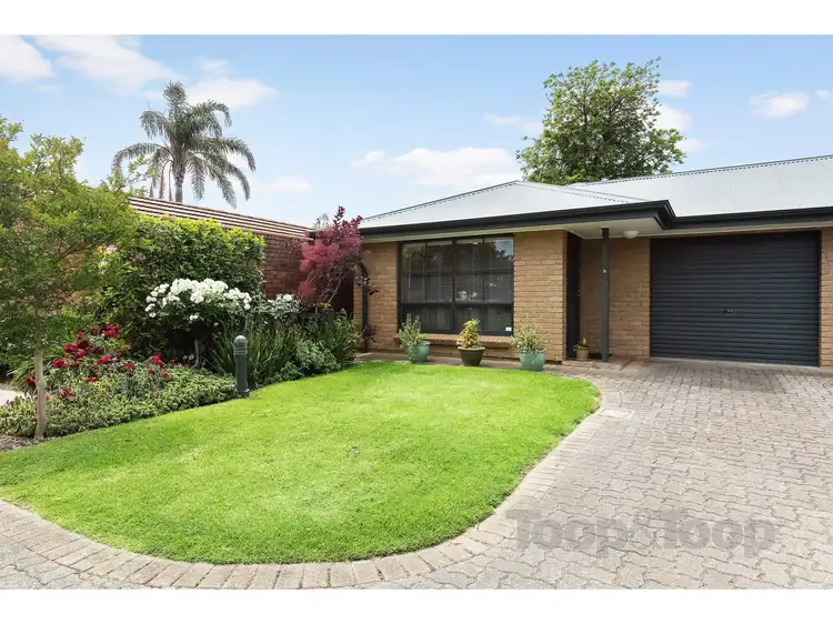 5/52 Maesbury Street, Kensington SA 5068