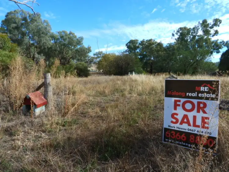 Second view of Homely land listing, 16 Church Street, Cudal NSW 2864