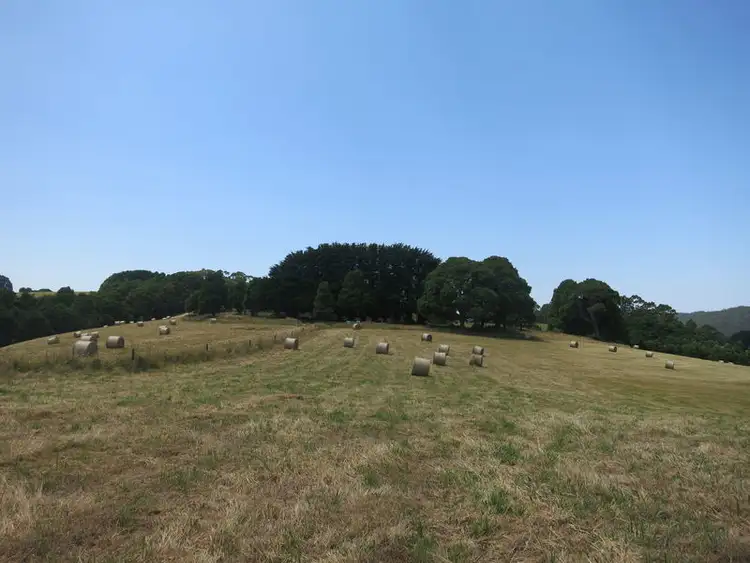 Sixth view of Homely rural property listing, 630 Dehnerts Track, Beech Forest VIC 3237