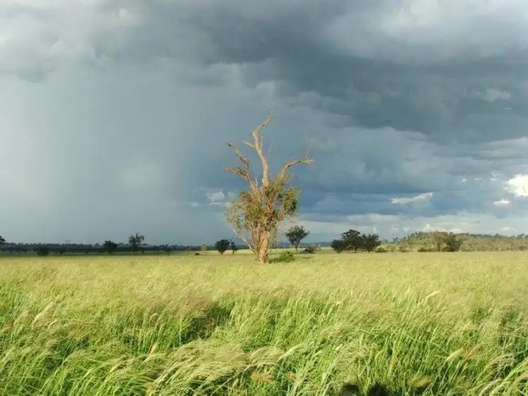 - Ridds Lane, Tamworth NSW 2340