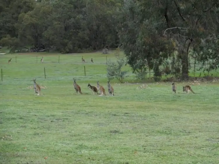 Seventh view of Homely land listing, Lot 304 Leschenaultia Drive, Chittering WA 6084