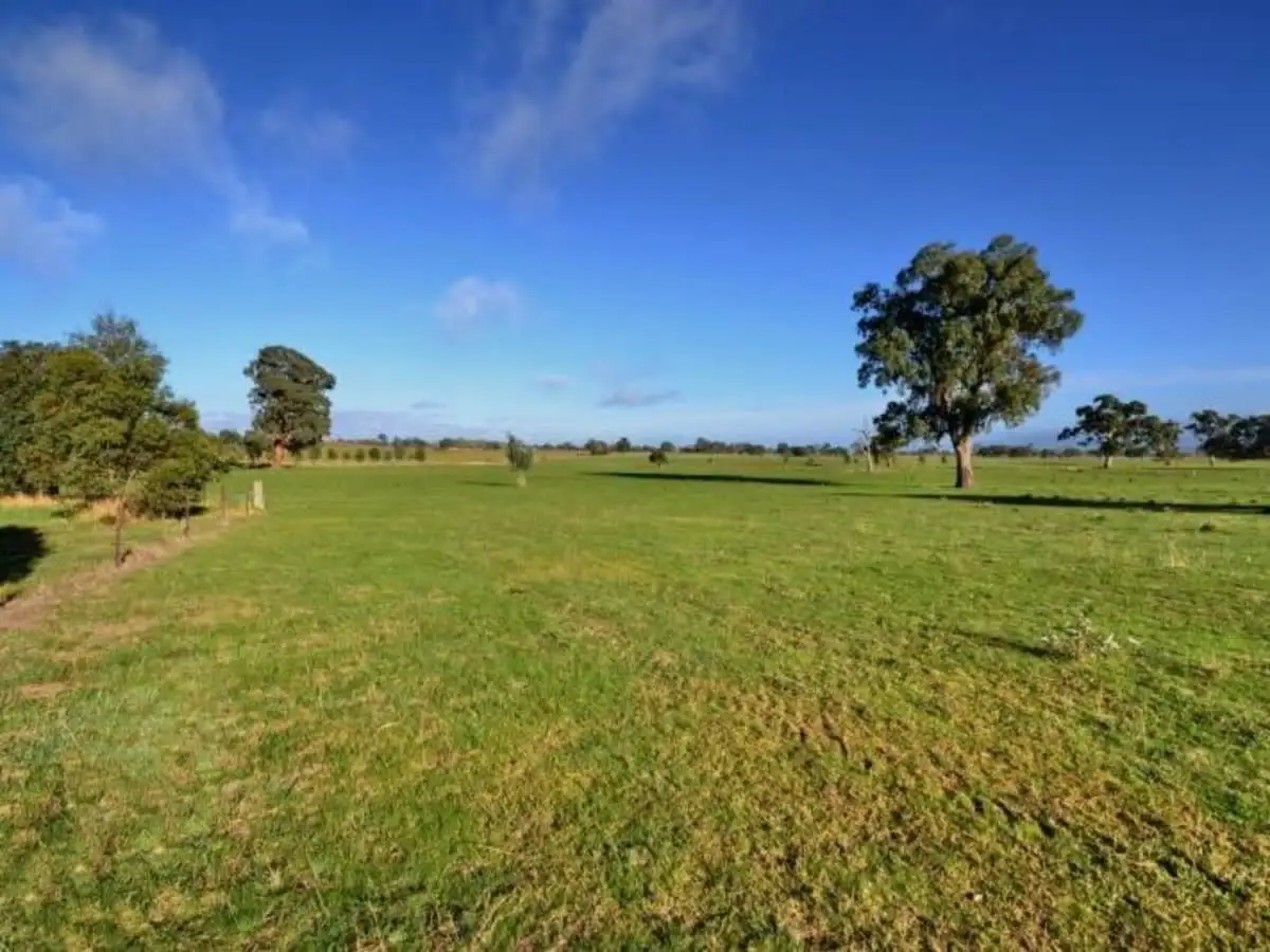 Main view of Homely rural property listing, 11 Comerfords Road, Mansfield VIC 3722