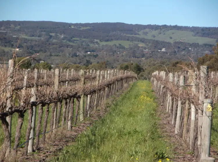 Lot 1 Rifle Range Road, Mclaren Vale SA 5171