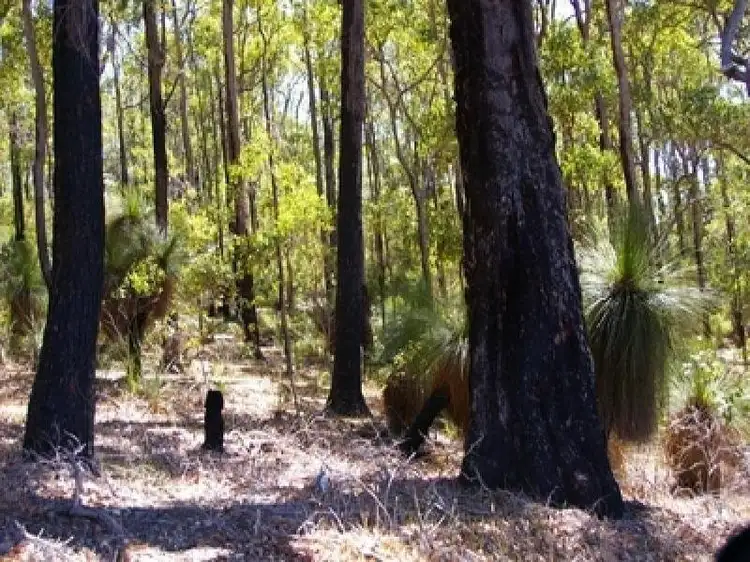 LOT 702, 702 Gold Gully Road, Nannup WA 6275