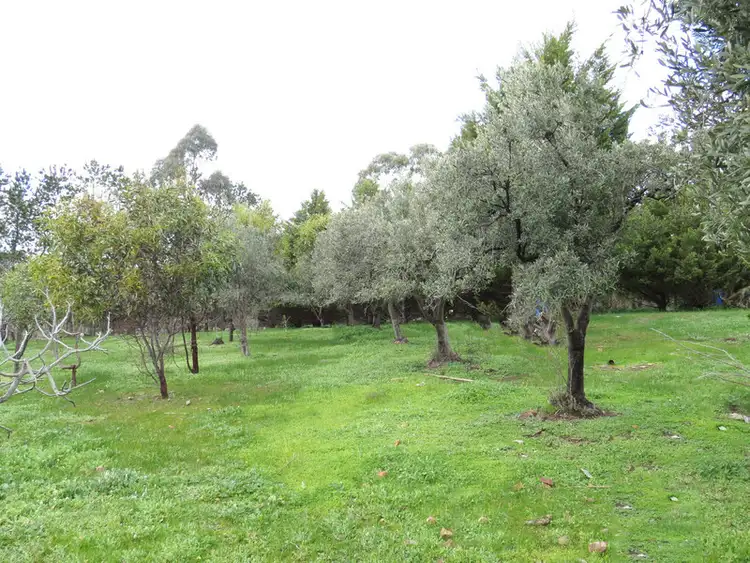 Second view of Homely land listing, 125 Youngs Lane, Heathcote VIC 3523