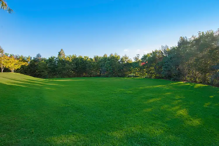 Third view of Homely house listing, 20 Blue Lagoon Court, Nerang QLD 4211