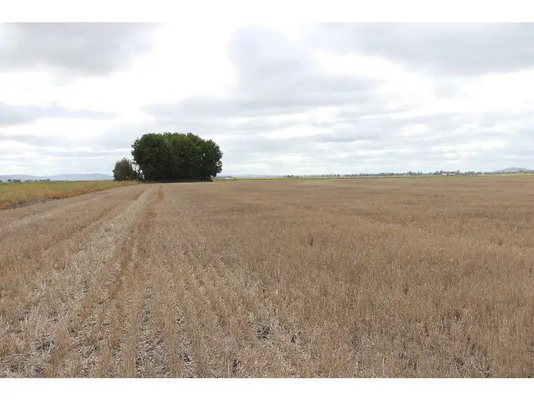 Seventh view of Homely rural property listing, L233 Clifton-Kings Creek Road, Clifton QLD 4361