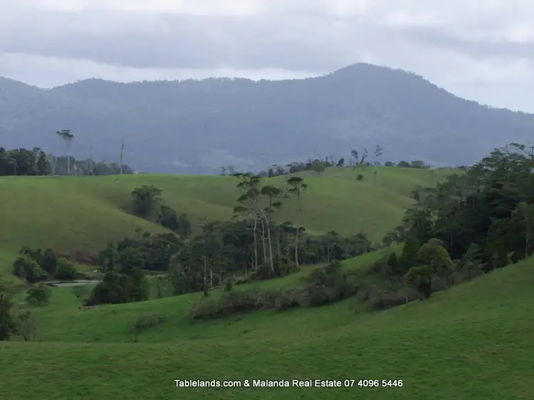 Second view of Homely rural property listing, F307/1015 Maalan Road, Millaa Millaa QLD 4886